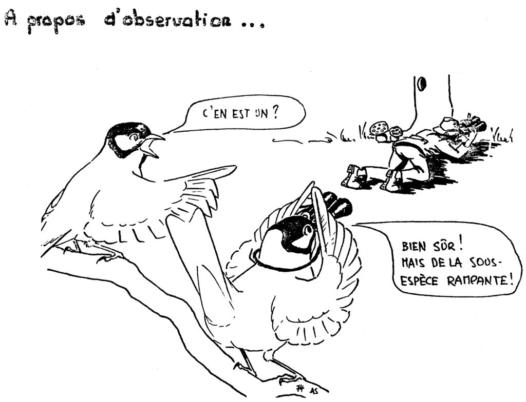 1974 Dessin Alain Saunier 