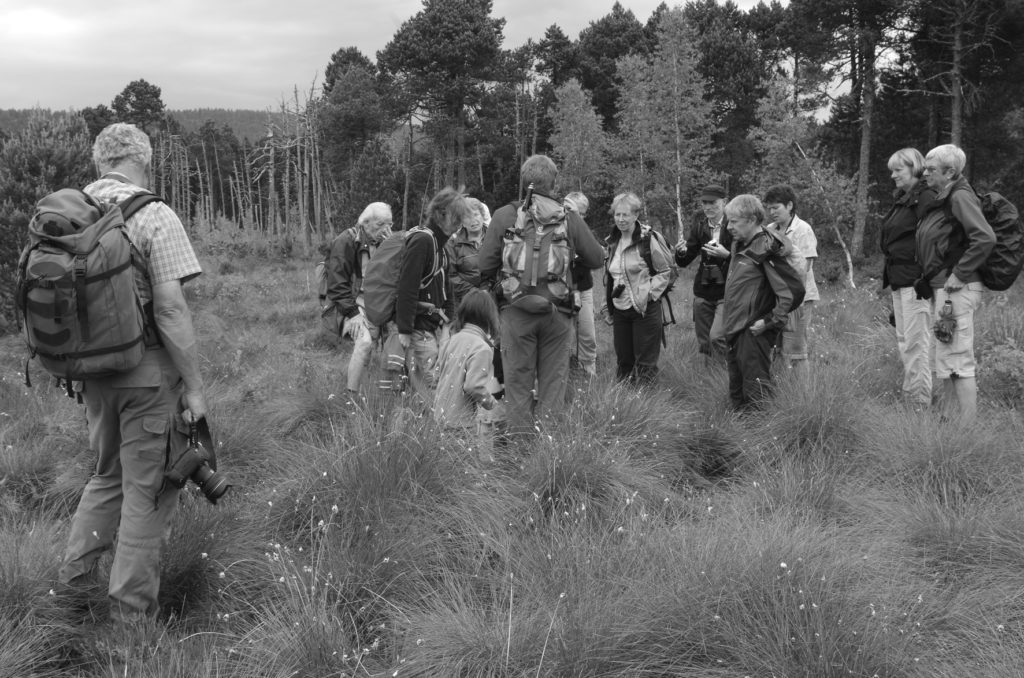 2014 -Visite guidée aux Bois des Lattes (NE)